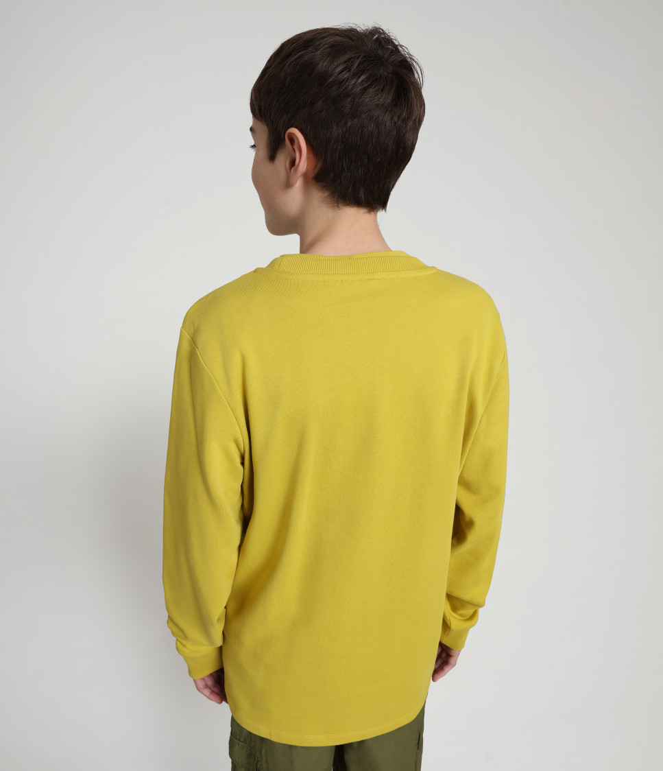 K BADYR C YELLOW MOSS