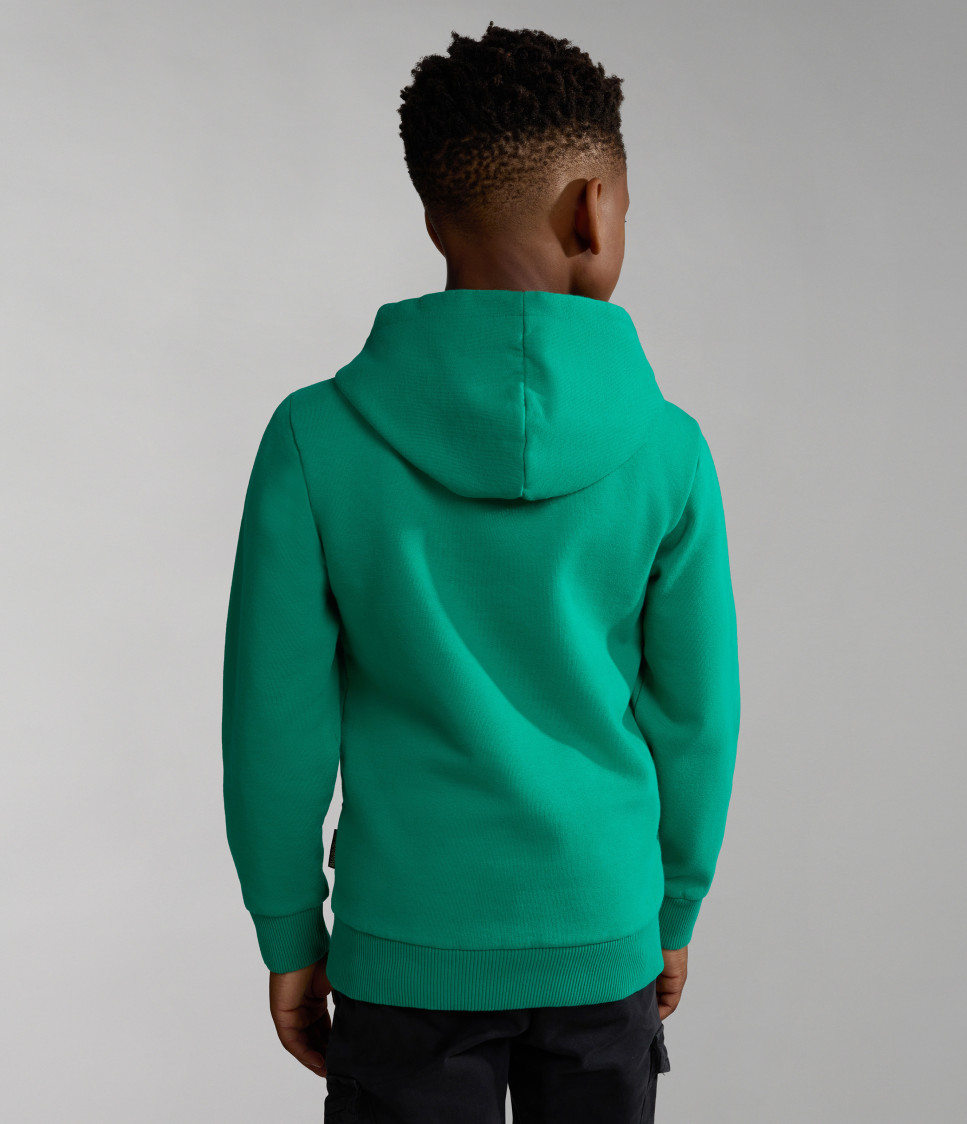 K B-BOX H 1 GREEN PARAKEET
