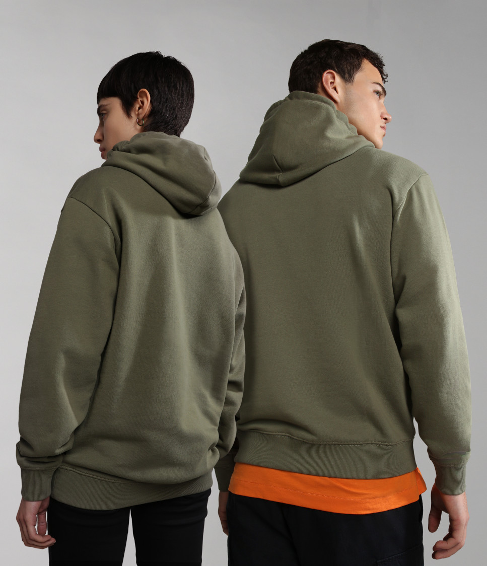 B-NAPO H GREEN LICHEN