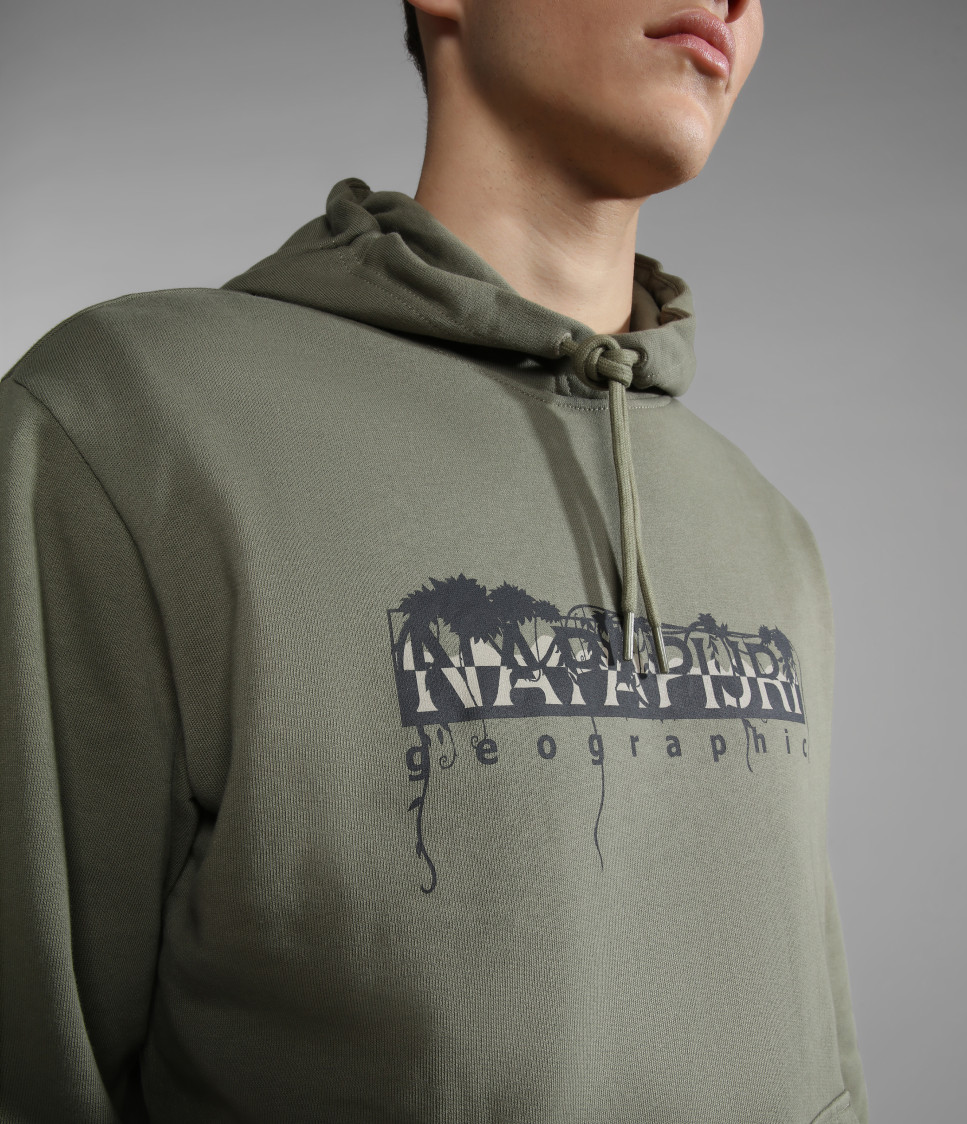 B-NAPO H GREEN LICHEN