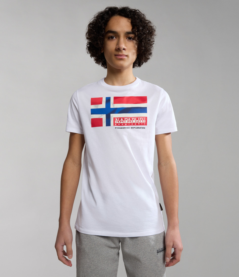 K S-ZAMORA FLAG COLORED FJ