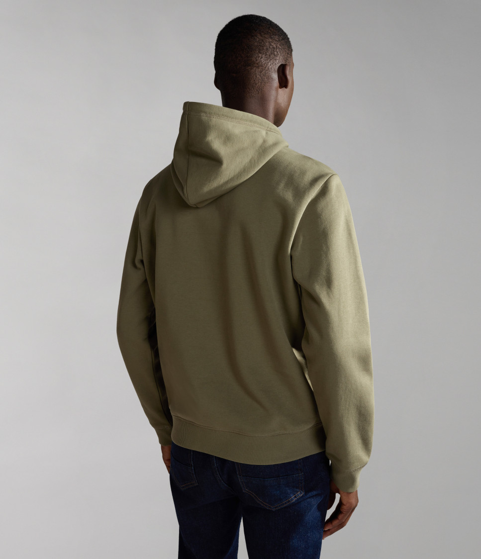 B-GUIRO H 1 GREEN LICHEN
