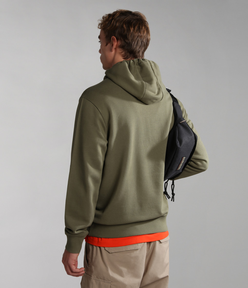 B-AYAS H 2 GREEN LICHEN