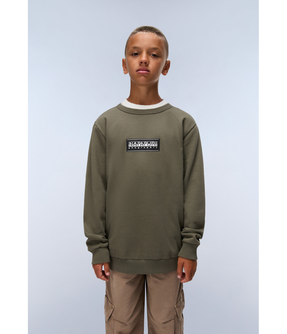 K B-CHAMOIS C TEA LEAF G0A 