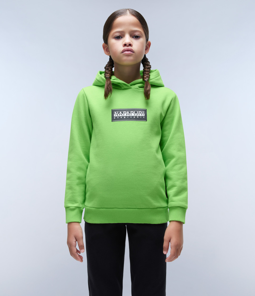 K B-CHAMOIS H GREEN MACAW