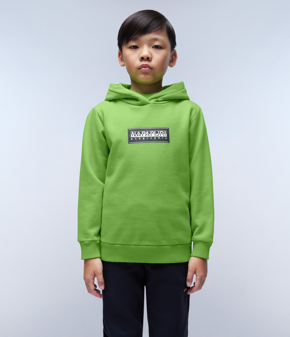 K B-CHAMOIS H GREEN MACAW