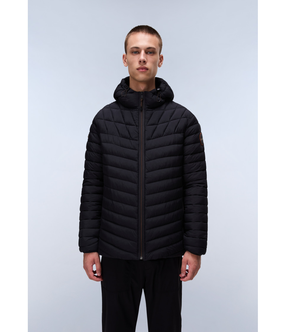 A-LAPAZ H BLACK BEAUTY 