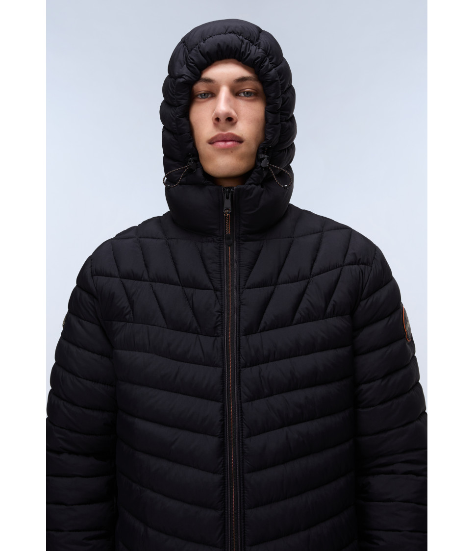 A-LAPAZ H BLACK BEAUTY 