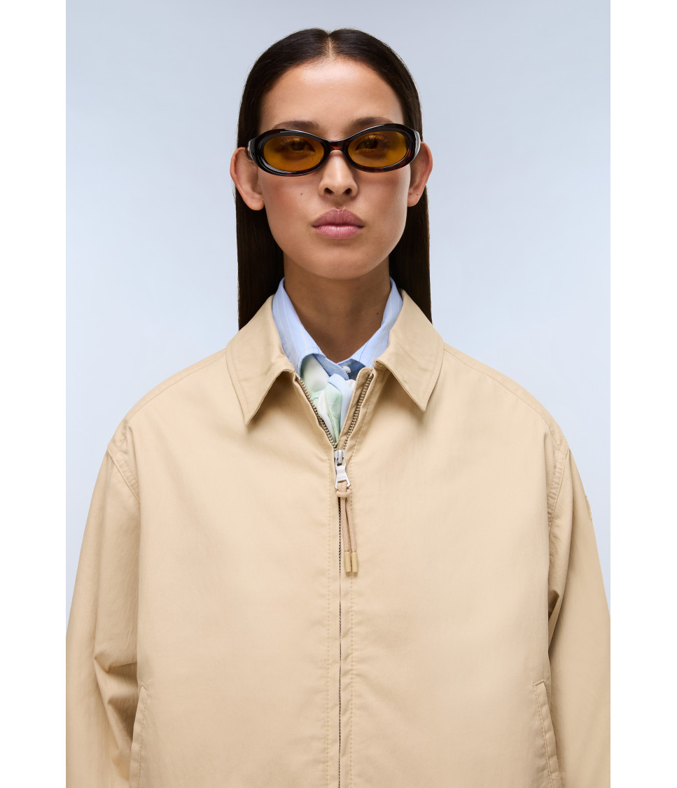 A-FRESNEL SHORT W MOJAVE DES N3D 