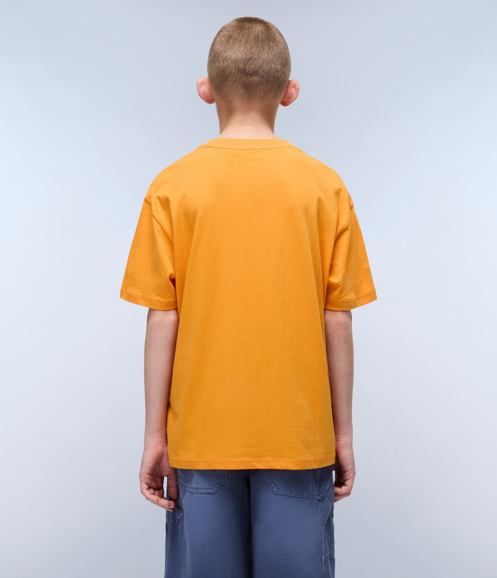 K S-SELLA SS APRICOT A70
