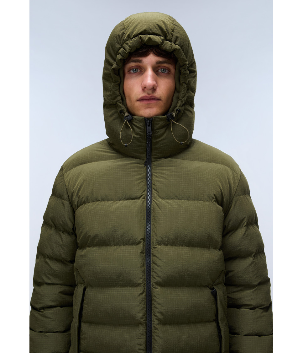 A-TEREZ OLIVE NIGHT G1F 