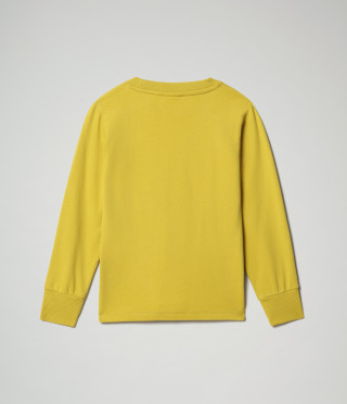 K BADYR C YELLOW MOSS
