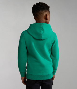 K B-BOX H 1 GREEN PARAKEET