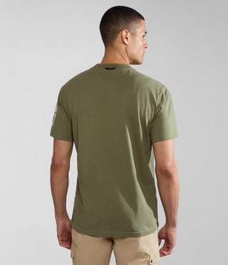 S-AMUNDSEN GREEN LICHEN