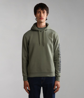 BADAS H 1 GREEN LICHEN