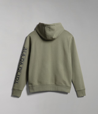 BADAS H 1 GREEN LICHEN