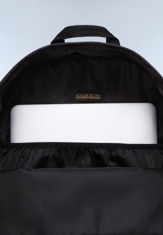 H-OLINA DP BLACK BEAUTY 