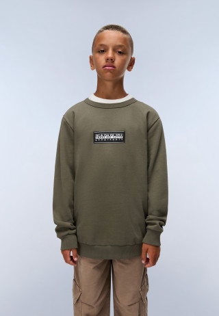 K B-CHAMOIS C TEA LEAF G0A 