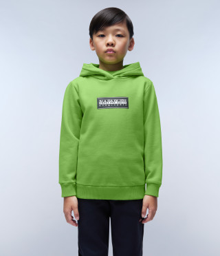K B-CHAMOIS H GREEN MACAW