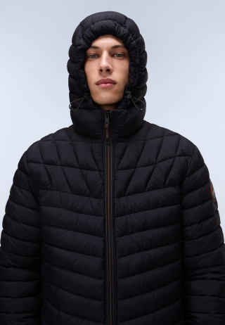 A-LAPAZ H BLACK BEAUTY 