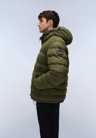 A-TEREZ OLIVE NIGHT G1F 