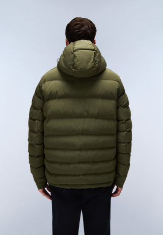 A-TEREZ OLIVE NIGHT G1F 
