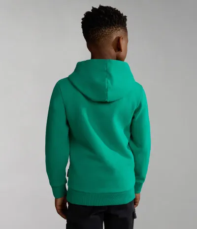K B-BOX H 1 GREEN PARAKEET 