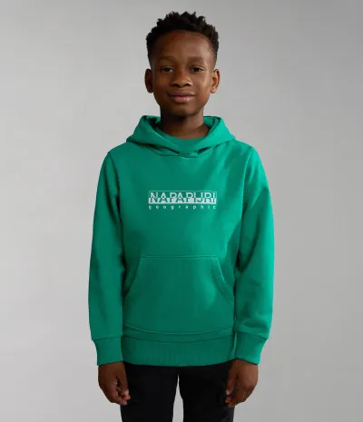 K B-BOX H 1 GREEN PARAKEET