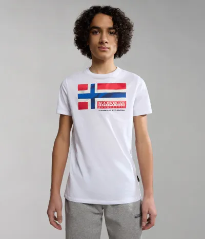 K S-ZAMORA FLAG COLORED FJ