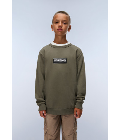 K B-CHAMOIS C TEA LEAF G0A 