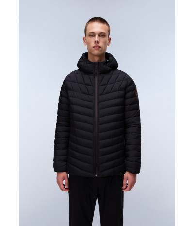 A-LAPAZ H BLACK BEAUTY 