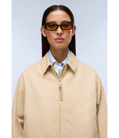 A-FRESNEL SHORT W MOJAVE DES N3D 