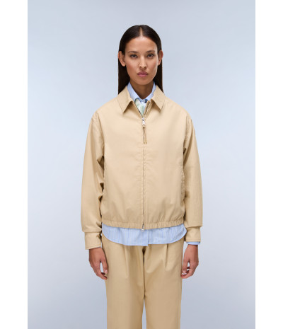 A-FRESNEL SHORT W MOJAVE DES N3D 