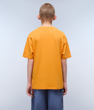 K S-SELLA SS APRICOT A70 
