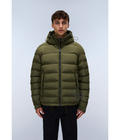 A-TEREZ OLIVE NIGHT G1F 