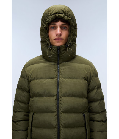 A-TEREZ OLIVE NIGHT G1F