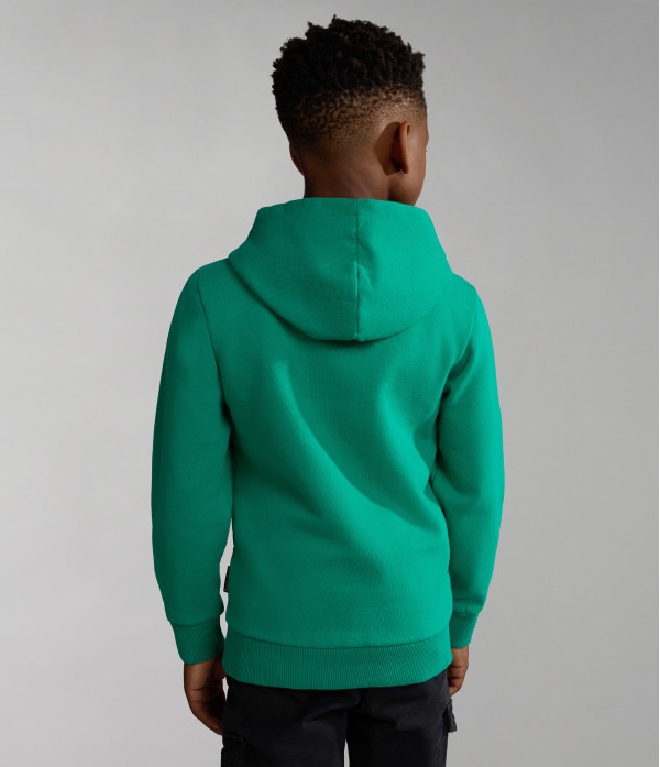 K B-BOX H 1 GREEN PARAKEET
