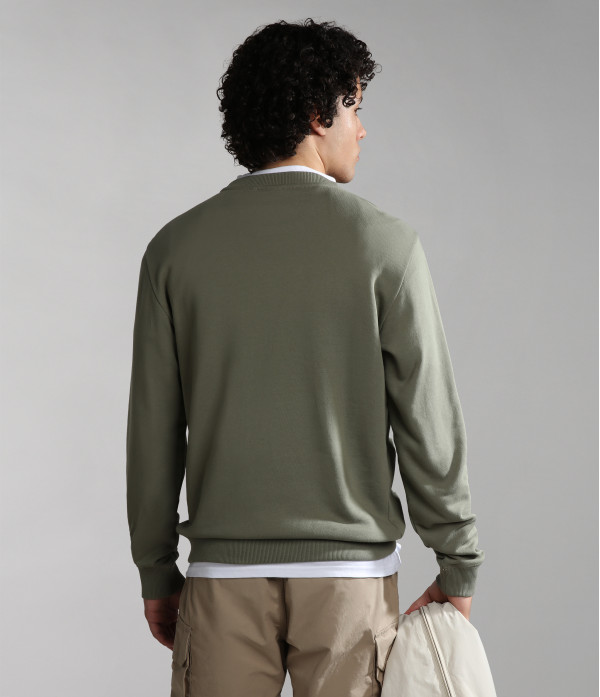 B-GUIRO C GREEN LICHEN