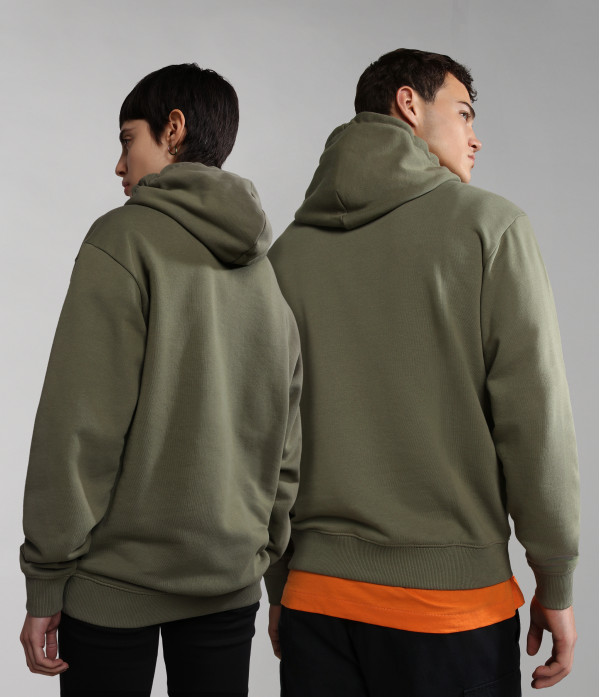 B-NAPO H GREEN LICHEN