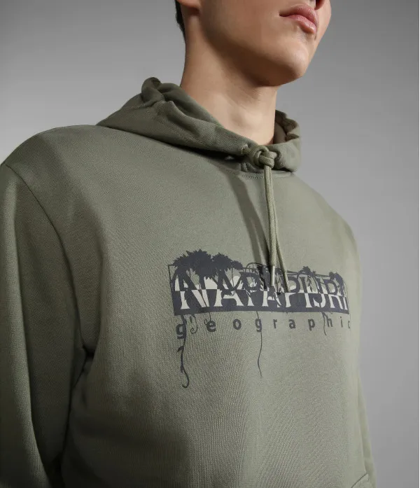 B-NAPO H GREEN LICHEN