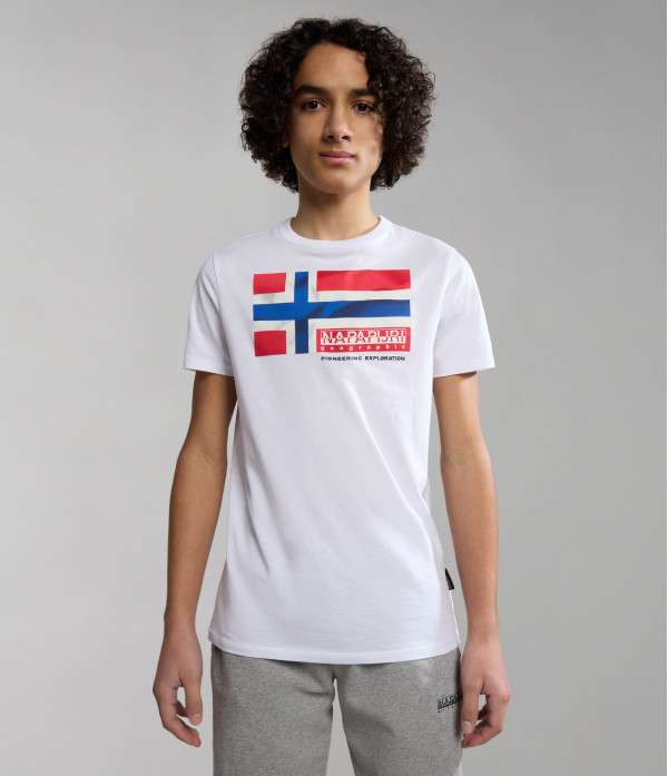 K S-ZAMORA FLAG COLORED FJ