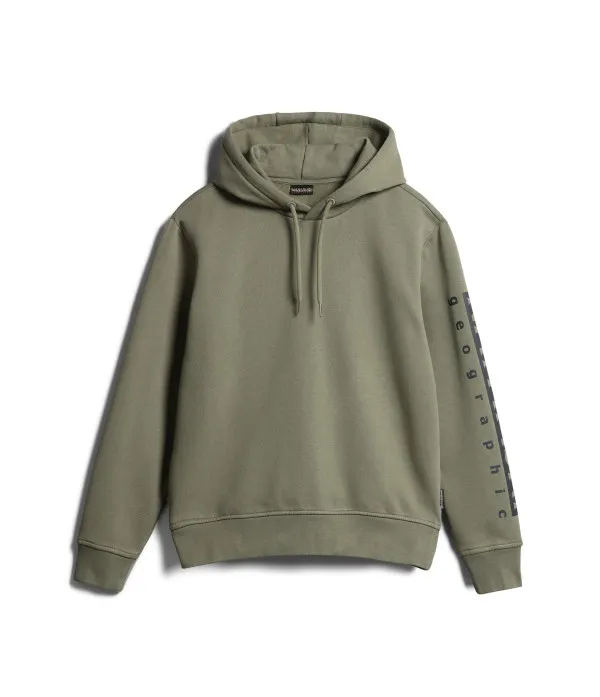 BADAS H 1 GREEN LICHEN