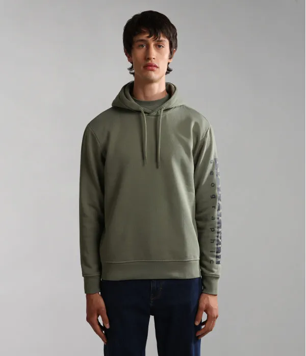 BADAS H 1 GREEN LICHEN