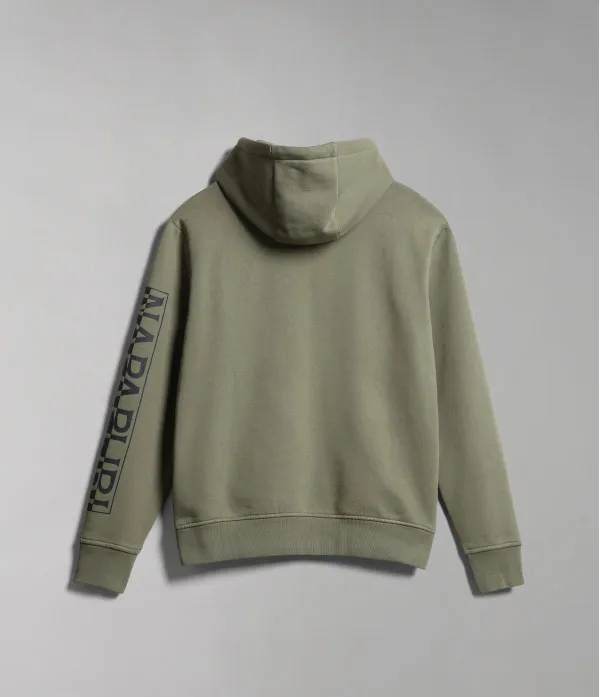 BADAS H 1 GREEN LICHEN
