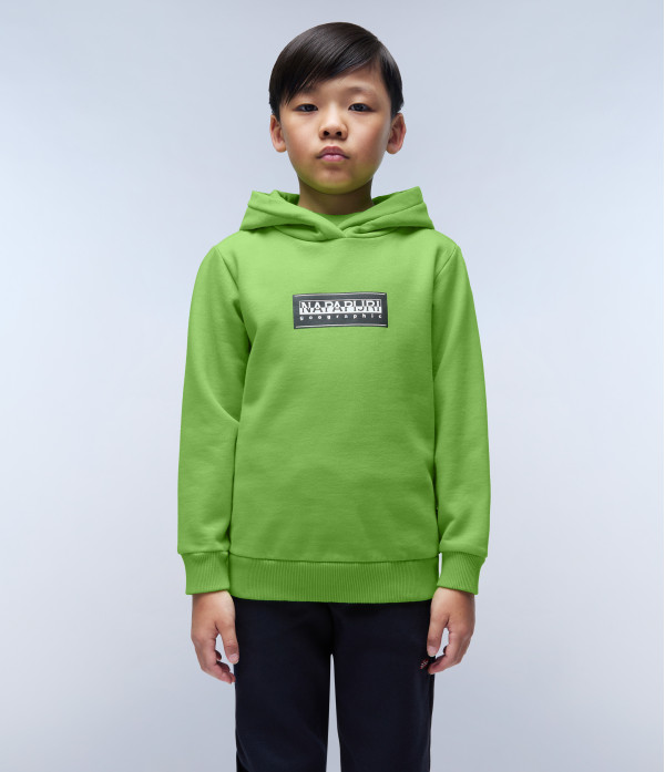 K B-CHAMOIS H GREEN MACAW