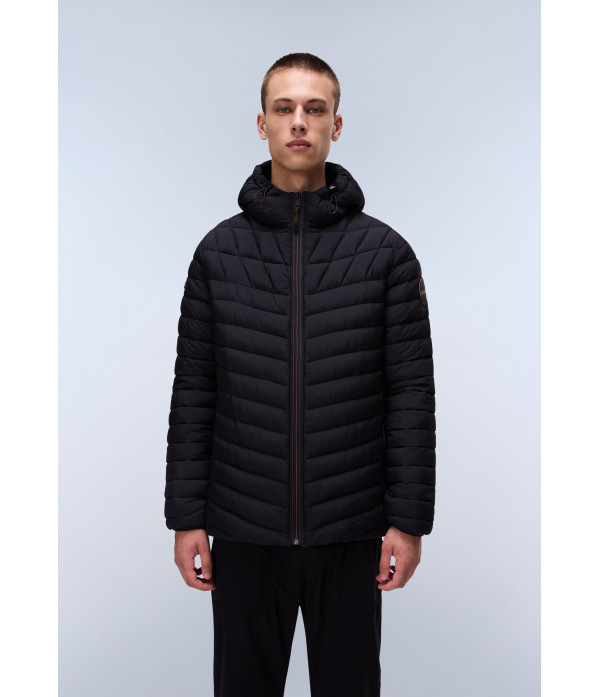 A-LAPAZ H BLACK BEAUTY 