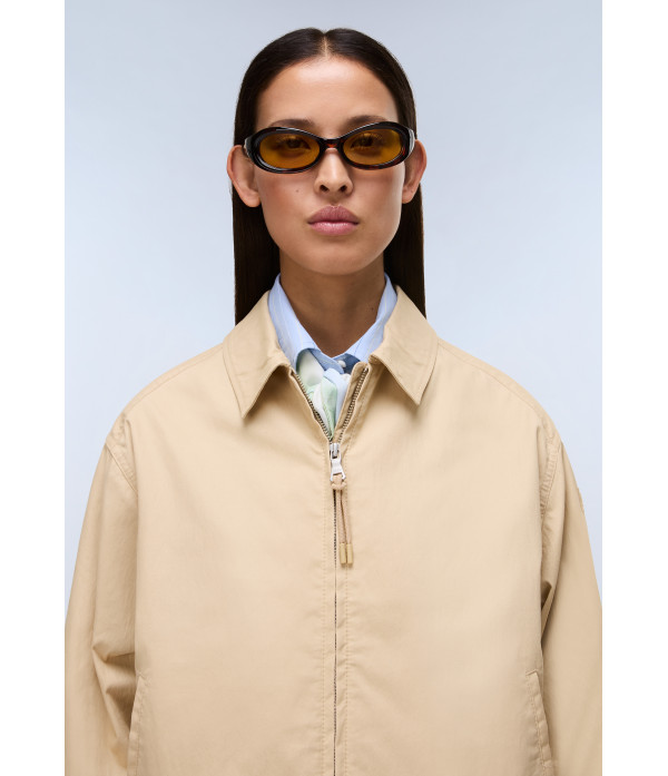 A-FRESNEL SHORT W MOJAVE DES N3D 