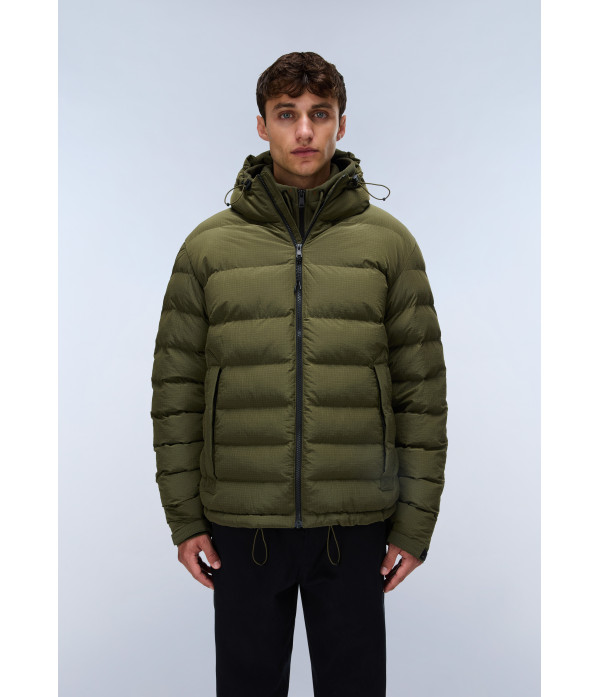 A-TEREZ OLIVE NIGHT G1F 