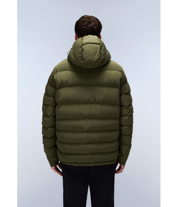 A-TEREZ OLIVE NIGHT G1F 