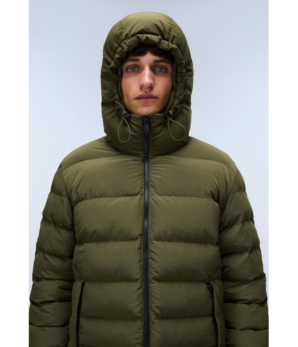 A-TEREZ OLIVE NIGHT G1F 